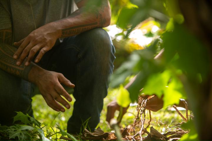 Live Q&A: Embodying Knowledge and Holding Community