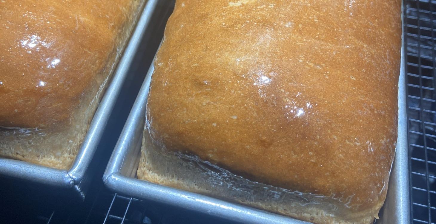 How to Make Homemade Honey Whole Wheat Bread