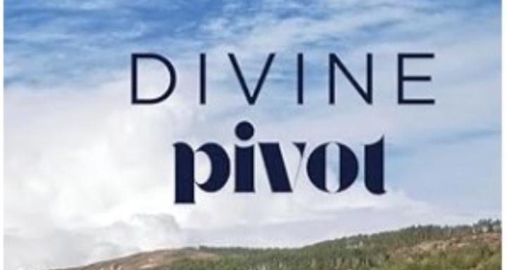 Divine Pivot Mentoring