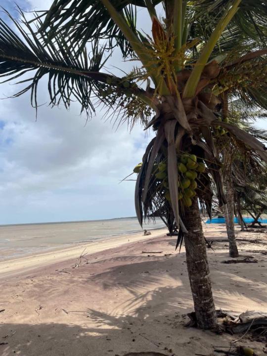Albane Grossin
