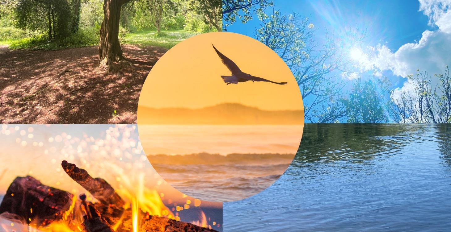 Elemental Connection