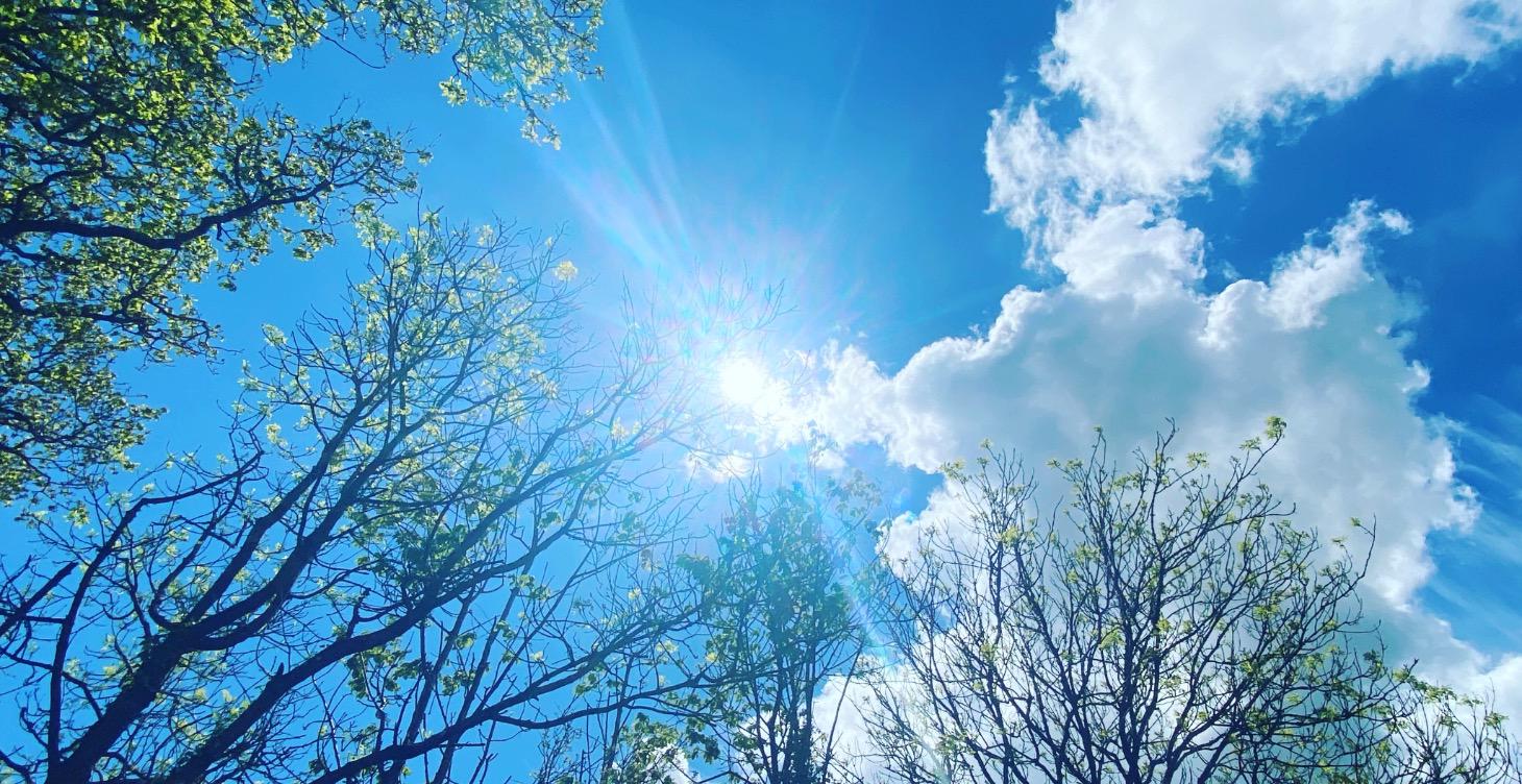 21 Day Reset Program