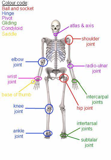 10-Minute Mobility Check