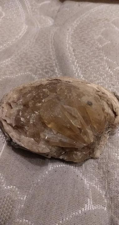 Calcite fossil clam