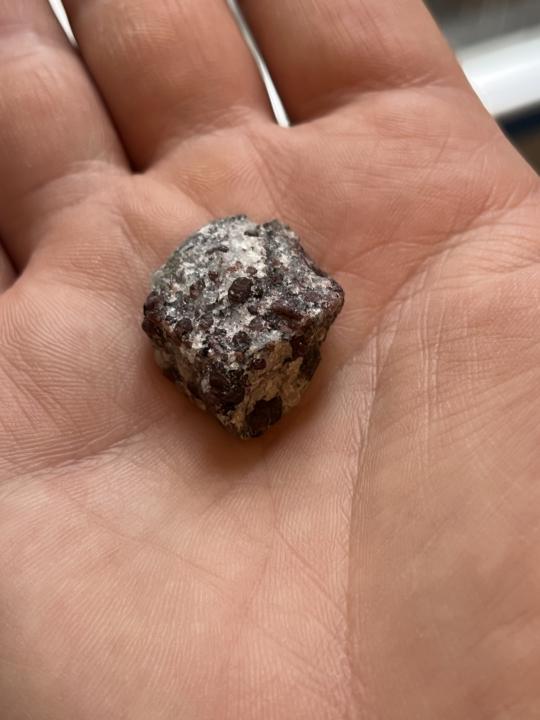 10.12 - Garnet Schist