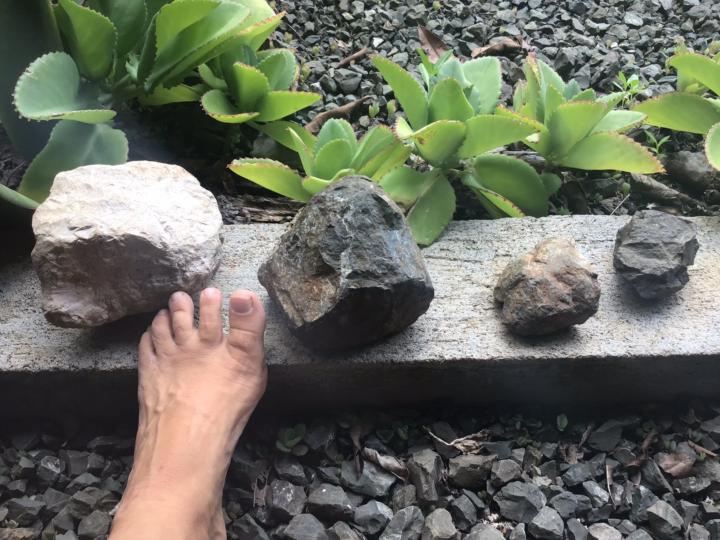 My Current Rock Friends Waiting To Be Thrown Around