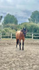 Solene Boillon