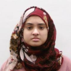 Mehrin Ali