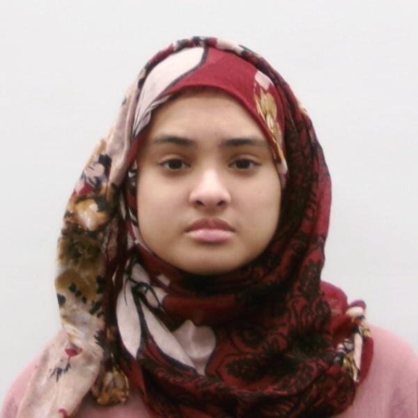 Mehrin Ali