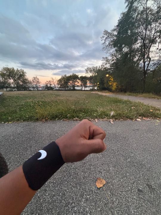 Alex Javier Tene lemache