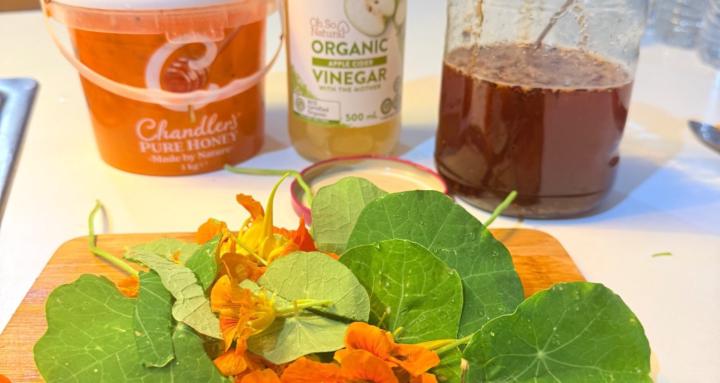 Mamas Coach to Create