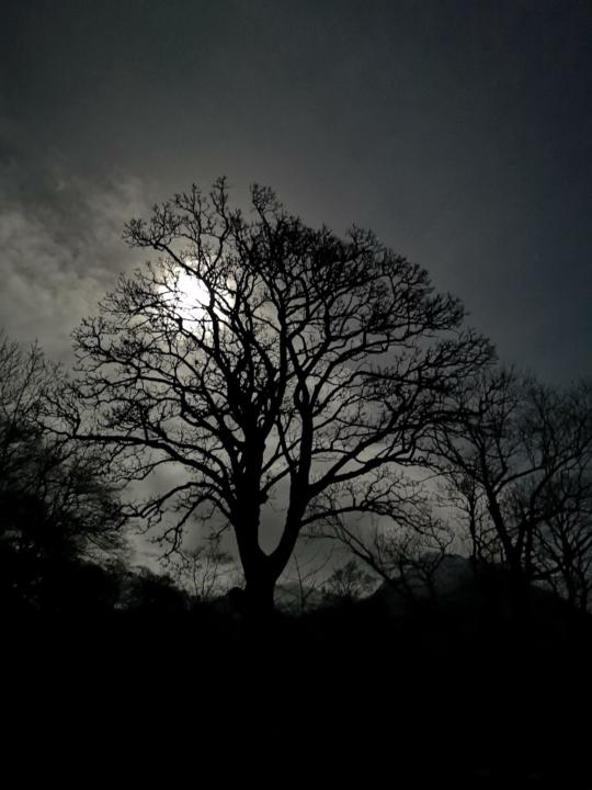 Ted Colclough