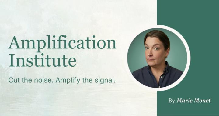 Amplification Institute