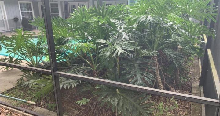 Home and Property Maintenance