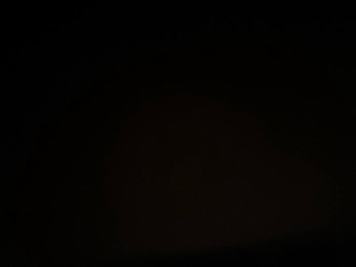 Dagmara Toboła-Koncewicz