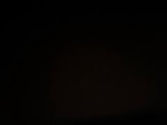 Dagmara Toboła-Koncewicz