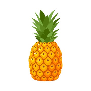 Sp L