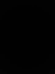 Gonzalo Moreno Martinez