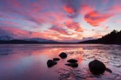 Tranquil Serenity