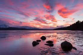 Tranquil Serenity