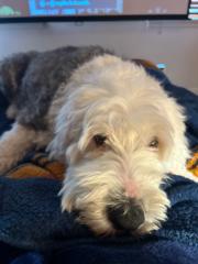 Ena TheFutureIsBright