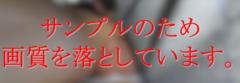 少航 郑