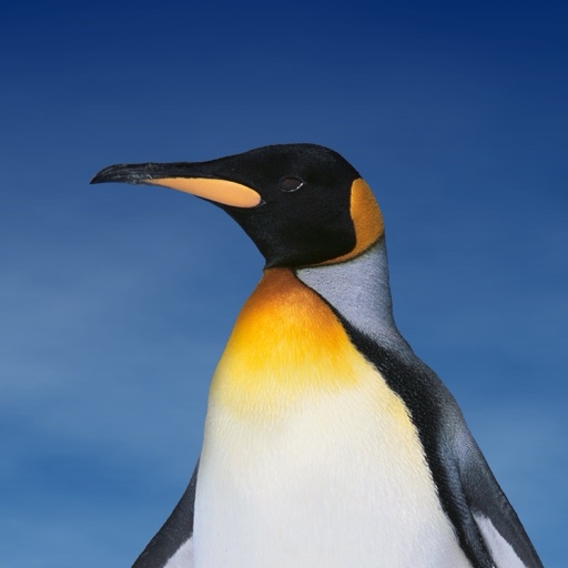 Matthias Walter