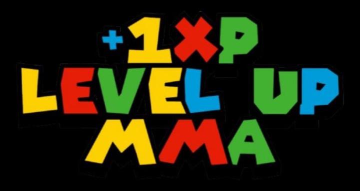 Level Up Fight Game