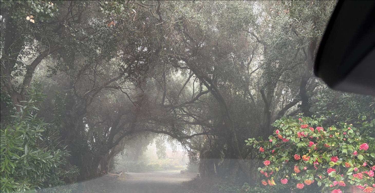 🧘 The Science & History of Meditation