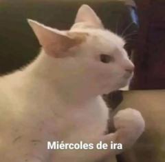 Moisés Samuel Rangel Arreola