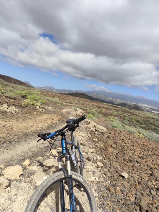 Jesus Poker mtb