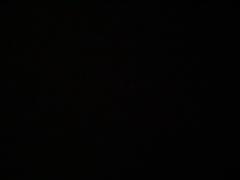 Joaquin Arturo Yañez Caces