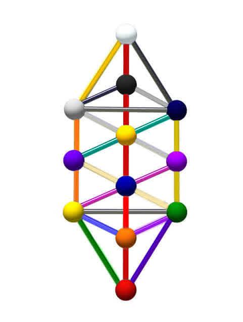 The Tree of Life