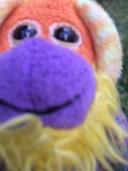 Nicolai Carlo Abruzzese Aguirre