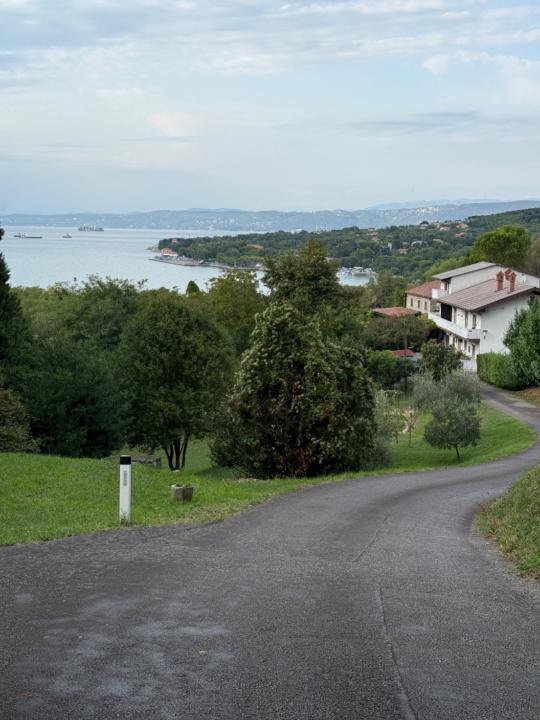 Radosław Tomaszewski