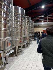 Antoine Quere-jelineau