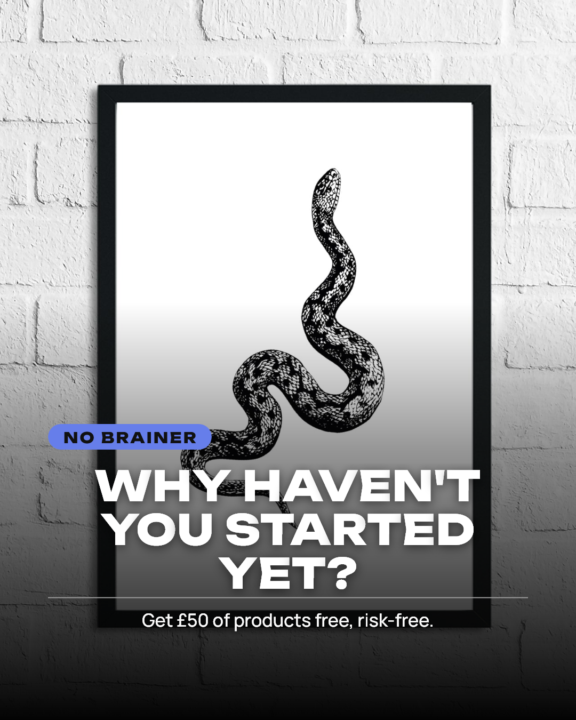 WHY HAVEN'T YOU STARTED YET?