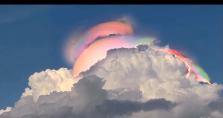 Over 50 and no grandkids