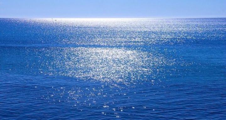 koboss family (beta)