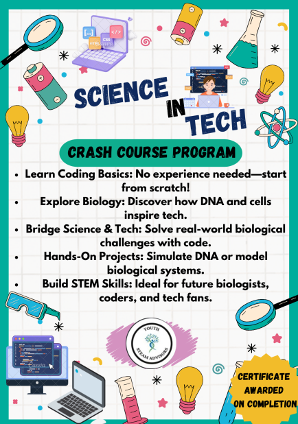 International Science-In-Tech Workshop Opportunities