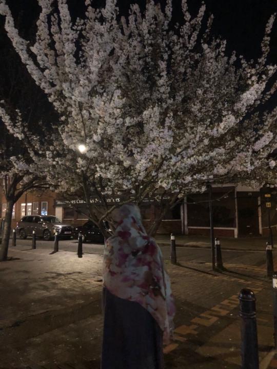 Mariam Shah