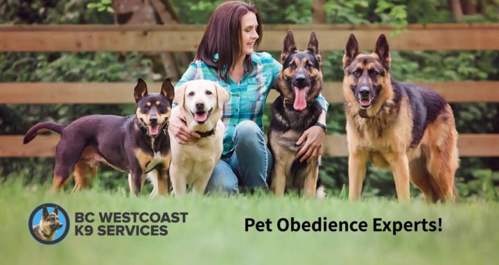 BC Westcoast K9 Training