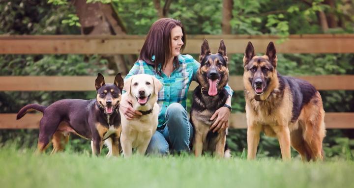 BC Westcoast K9 Training