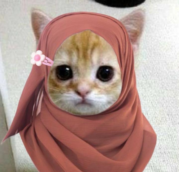 Firdaous Bouzidi amazian