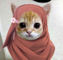 Firdaous Bouzidi amazian