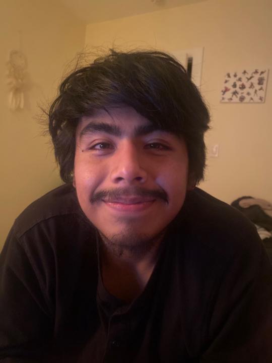 Tomas Castro Valente