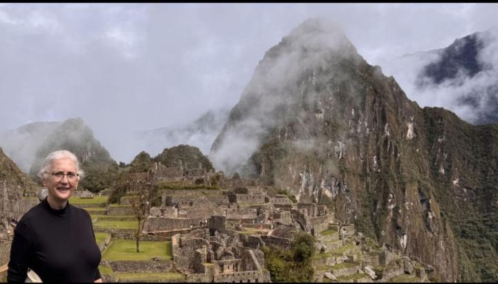 Llanos Vizcaíno Gómez