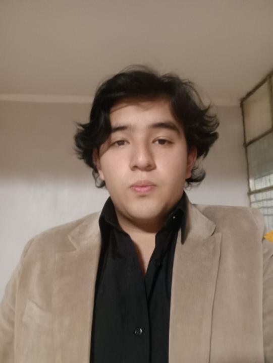 Diego enrique Cieza soto