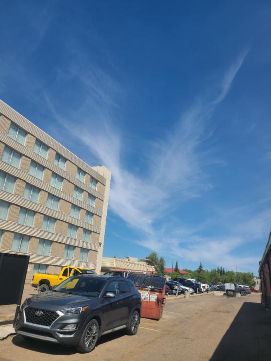 Michelle Houde-Beraskin