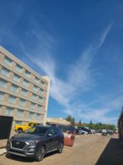 Michelle Houde-Beraskin